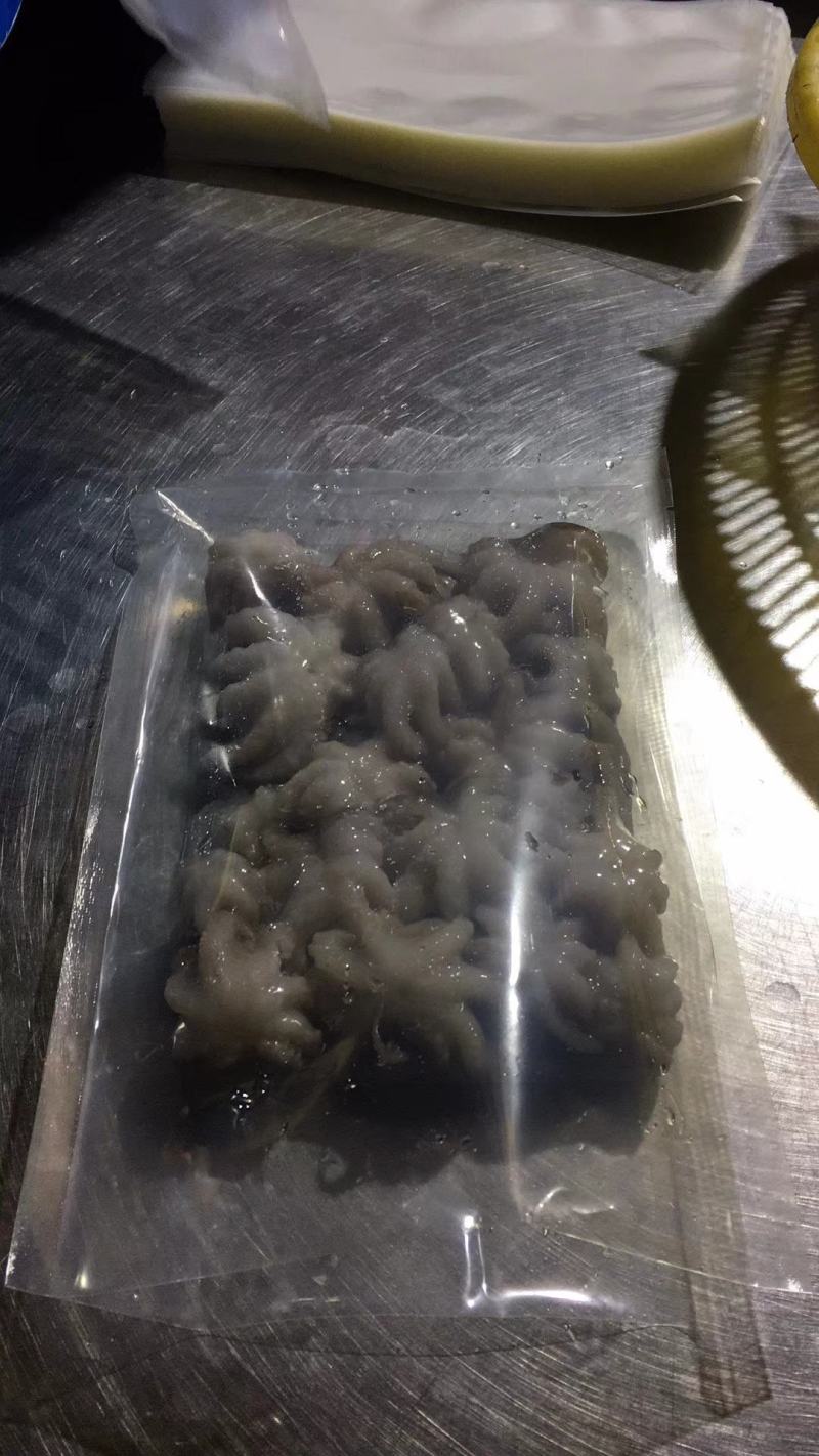 八爪鱼，迷你下短腿，爆头八爪