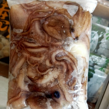 八爪鱼，迷你下短腿，爆头八爪