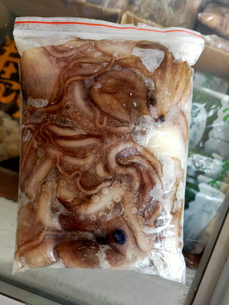 八爪鱼，迷你下短腿，爆头八爪