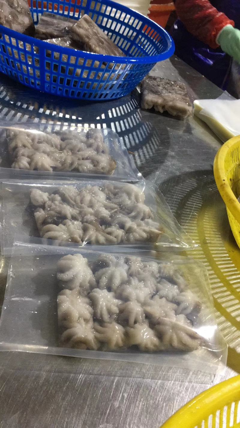八爪鱼，迷你下短腿，爆头八爪