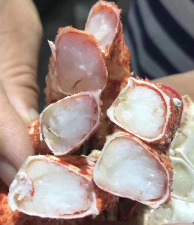自助餐食材，雪地牌智利雪蟹脚红毛蟹脚，饱满度95%