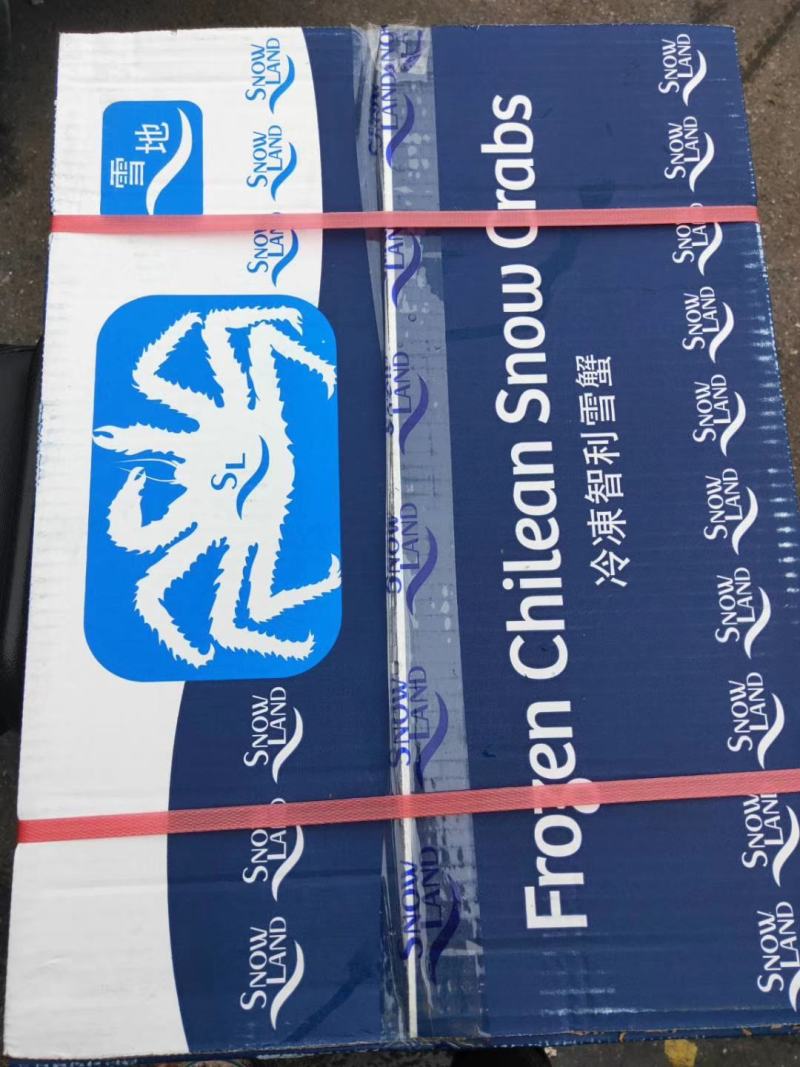 自助餐食材，雪地牌智利雪蟹脚红毛蟹脚，饱满度95%