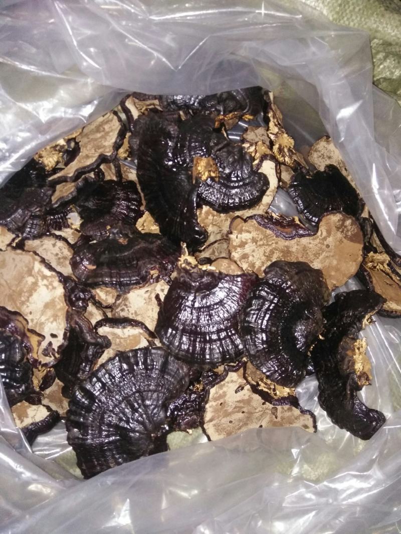 【优质药材】黑灵芝，不苦，有浓浓的香味欢迎选购