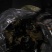 【优质药材】黑灵芝，不苦，有浓浓的香味欢迎选购