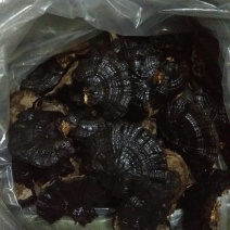 【优质药材】黑灵芝，不苦，有浓浓的香味欢迎选购