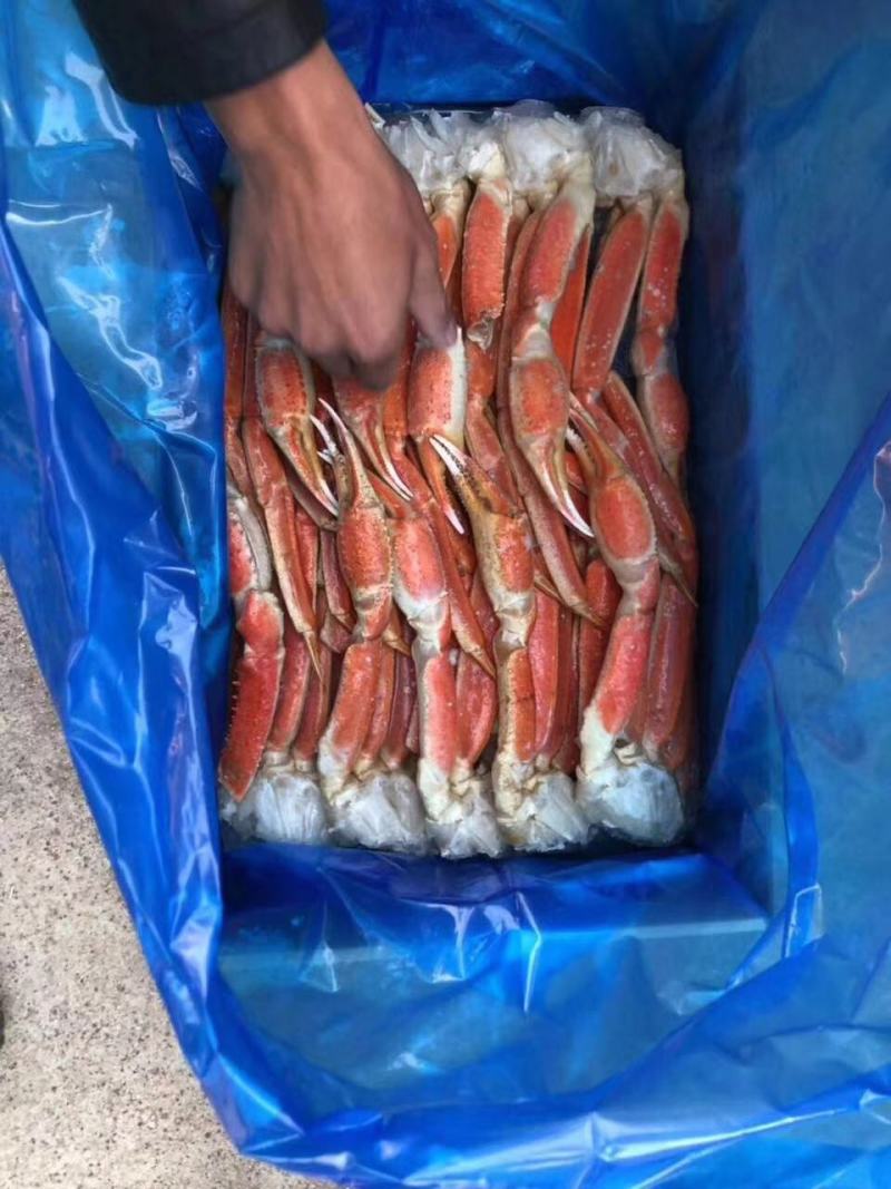 蟹脚。自助餐食材，雪蟹脚，一件10斤,2L.3L.4L