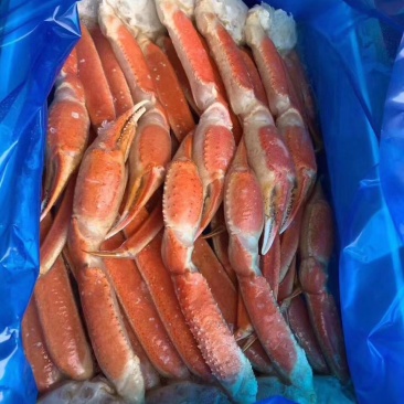 蟹脚。自助餐食材，雪蟹脚，一件10斤,2L.3L.4L
