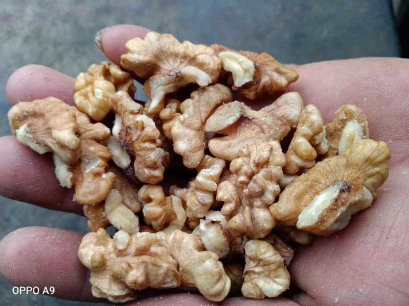 【推荐】新彊185白核桃仁货源充足保质保量视频看货