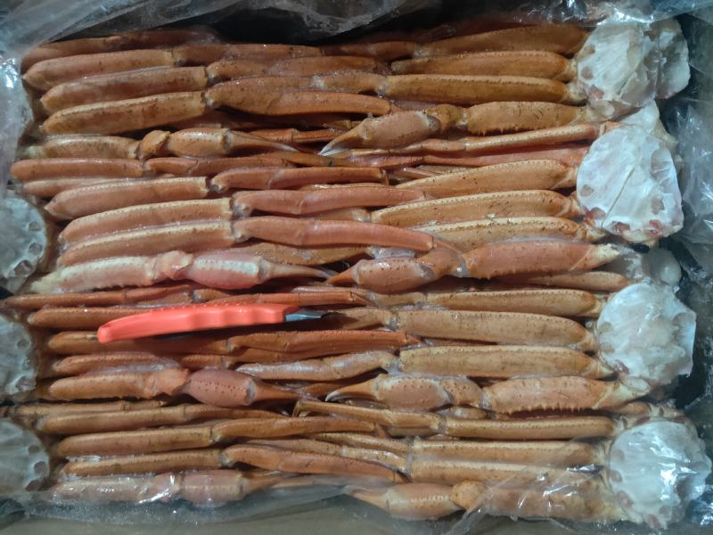 蟹脚，自助餐，精品红蟹脚，一件十公斤。现货批发
