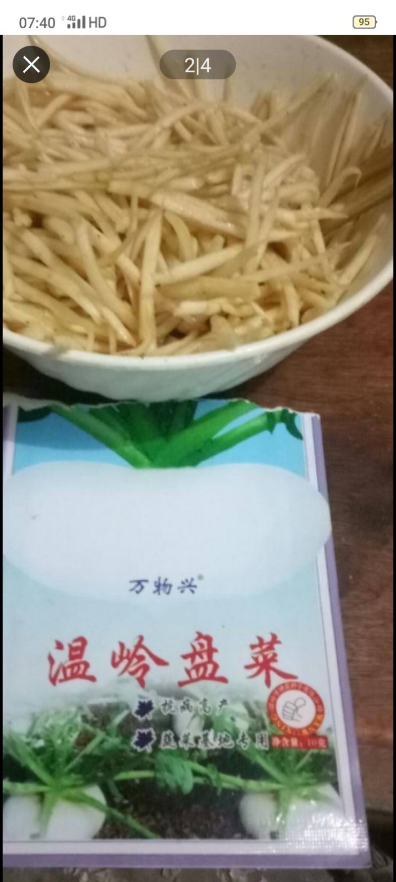 基地大量批发盘菜质量好价格优请各地朋友提联系订购种植计划