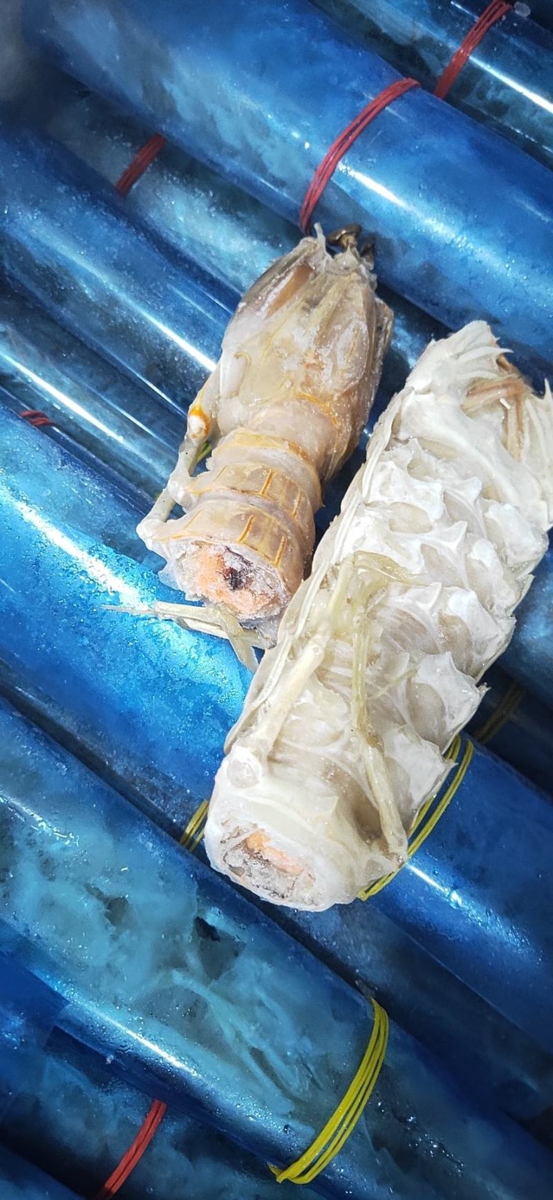 高品质皮皮虾，每个都带膏富贵虾，肉质鲜嫩。现货批发