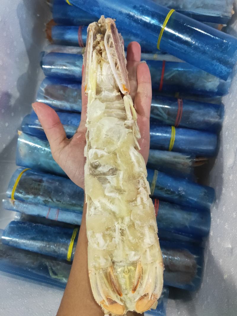 高品质皮皮虾，每个都带膏富贵虾，肉质鲜嫩。现货批发