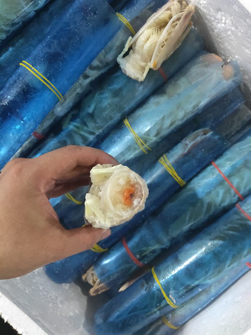 高品质皮皮虾，每个都带膏富贵虾，肉质鲜嫩。现货批发
