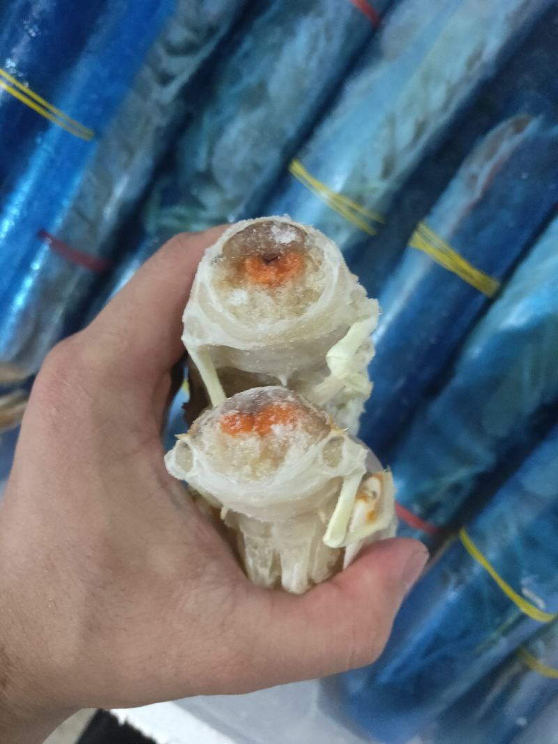 高品质皮皮虾，每个都带膏富贵虾，肉质鲜嫩。现货批发