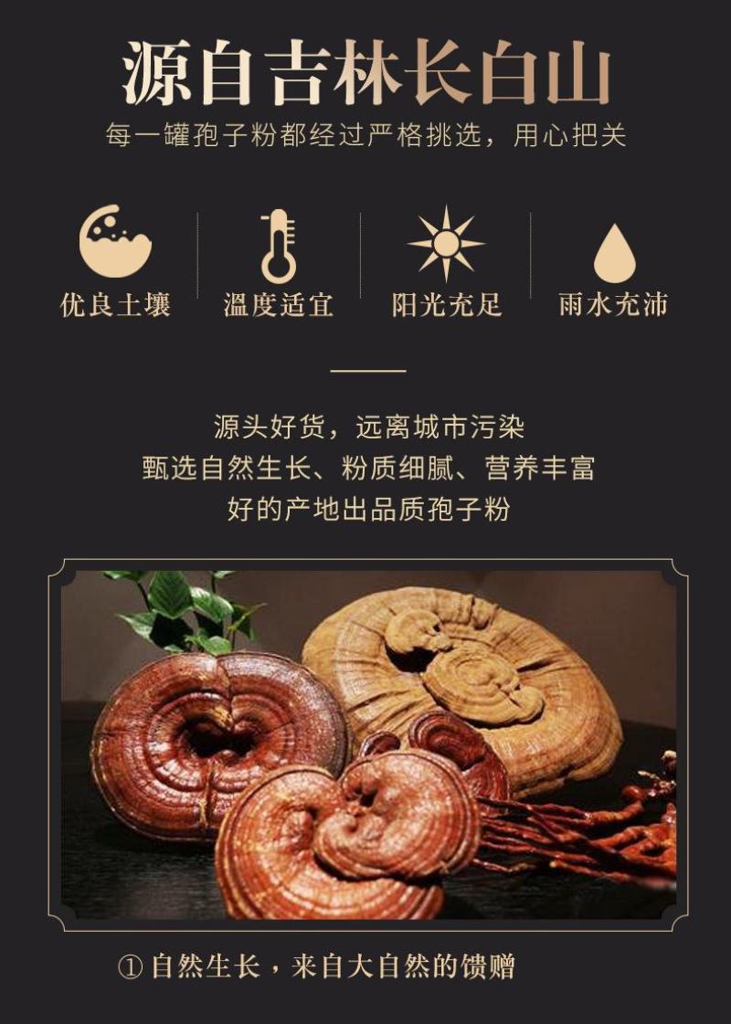 长白山灵芝孢子粉自家种植一手货源产地直供