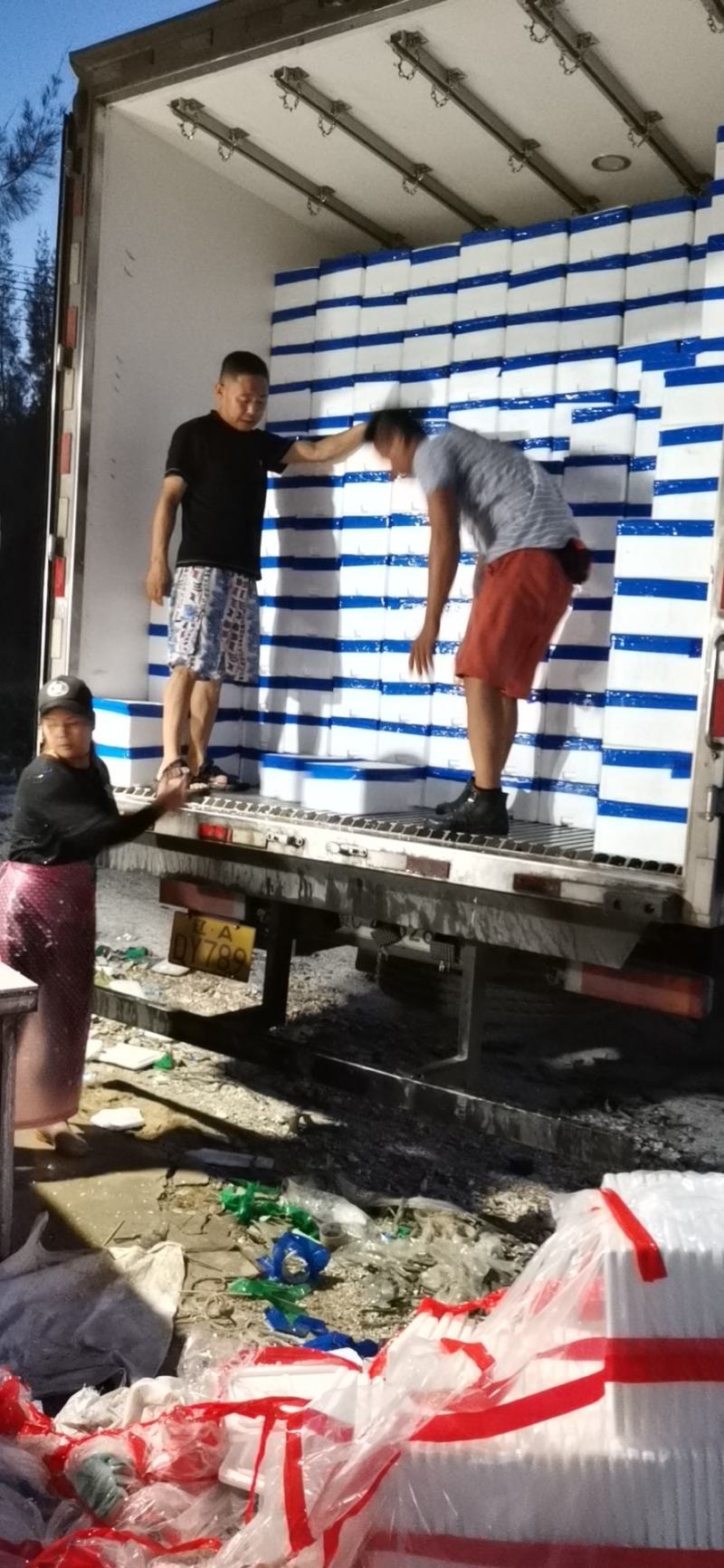 福建生蚝场地直销大小包装价格优惠吊蚝干净无沙