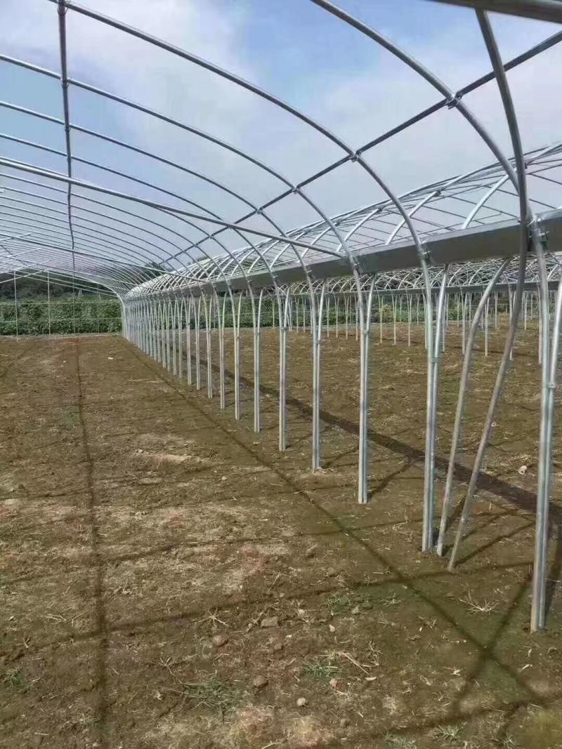 厂家批发蔬菜大棚，养殖大棚，连栋大棚！圆管，椭圆管，包塑