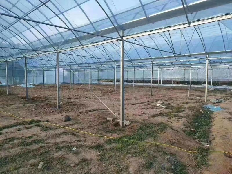 厂家批发蔬菜大棚，养殖大棚，连栋大棚！圆管，椭圆管，包塑