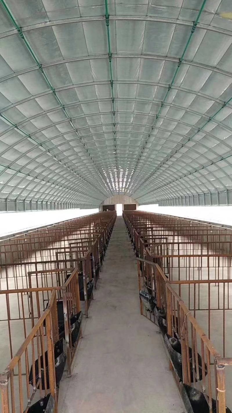 厂家批发蔬菜大棚，养殖大棚，连栋大棚！圆管，椭圆管，包塑