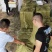妙香草莓苗批发基地现起苗支持视频远程看苗