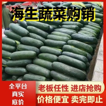 黑皮冬瓜产地代销图片真实质量保证代发全国