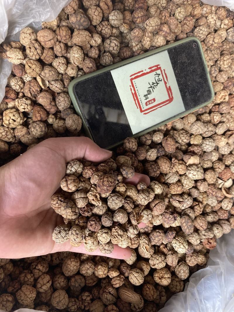草寇草扣老豆蔻飞雷子去腥解腻炖卤肉煲汤香料足干无硫可打粉