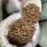 草寇草扣老豆蔻飞雷子去腥解腻炖卤肉煲汤香料足干无硫可打粉
