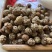 草寇草扣老豆蔻飞雷子去腥解腻炖卤肉煲汤香料足干无硫可打粉