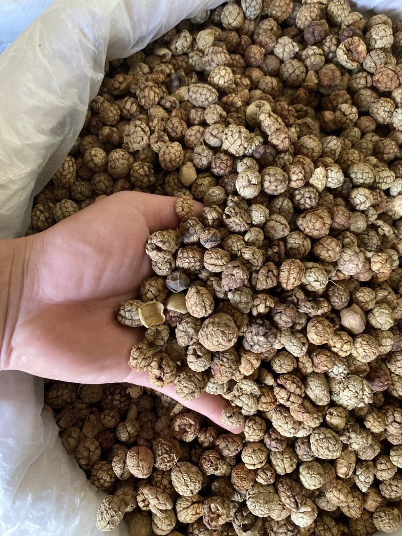 草寇草扣老豆蔻飞雷子去腥解腻炖卤肉煲汤香料足干无硫可打粉