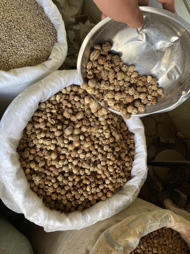 草寇草扣老豆蔻飞雷子去腥解腻炖卤肉煲汤香料足干无硫可打粉