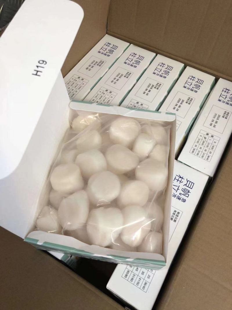 贝柱。帆立贝柱！一件十公斤，十盒一件。上海现货