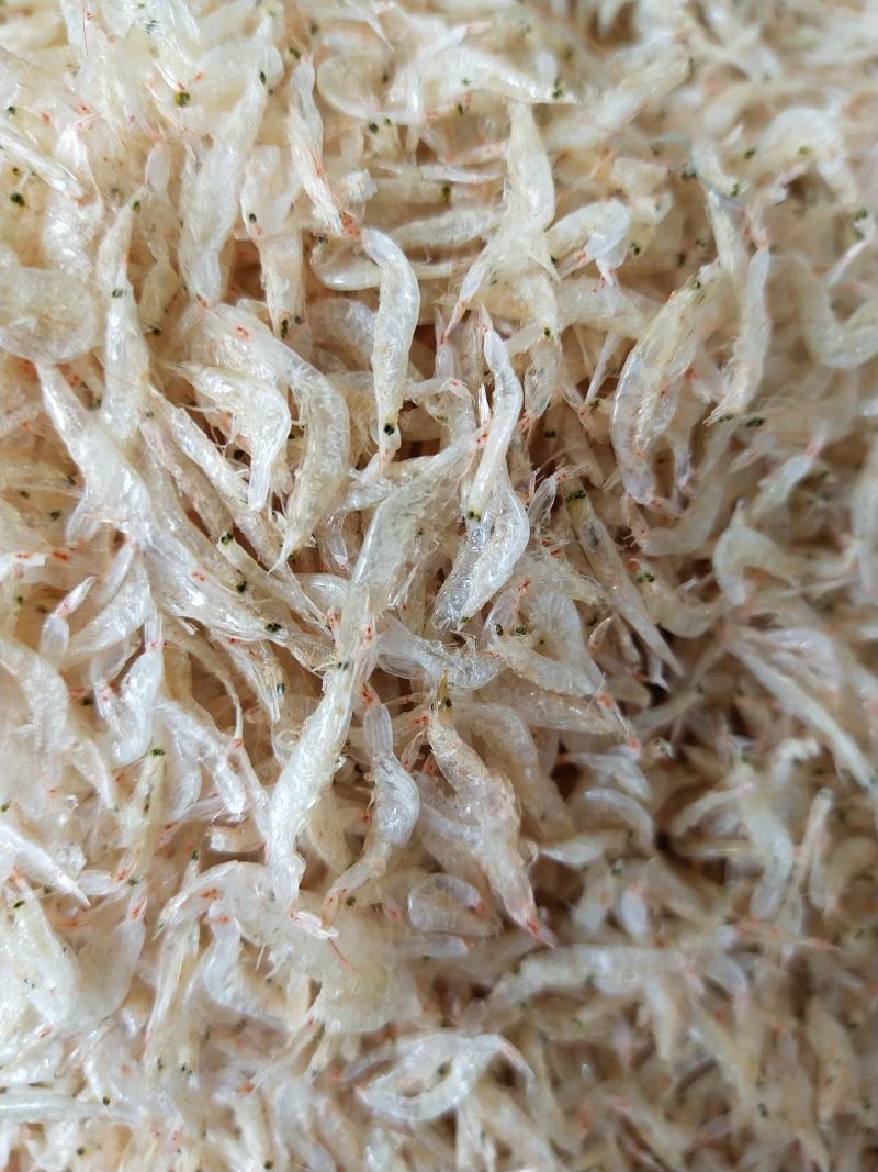 红磷虾皮即食虾皮虾皮干海鲜干货