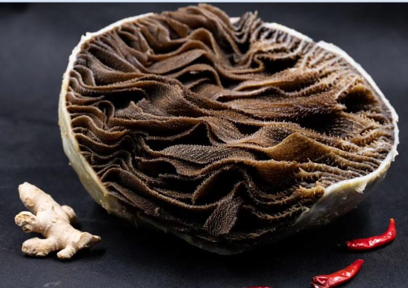 黑肚圆个毛肚黑千层整个牛肚
