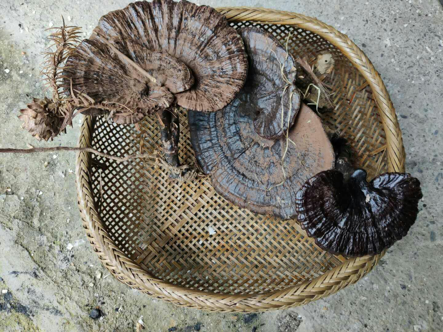 芝麻菜沥干水分操作图