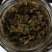 香辣香椿芽，纯手工制作，传统做法