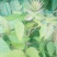 香辣香椿芽，纯手工制作，传统做法