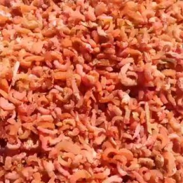 金勾小海米，做汤，包饺子，馄饨神器(大量有货)