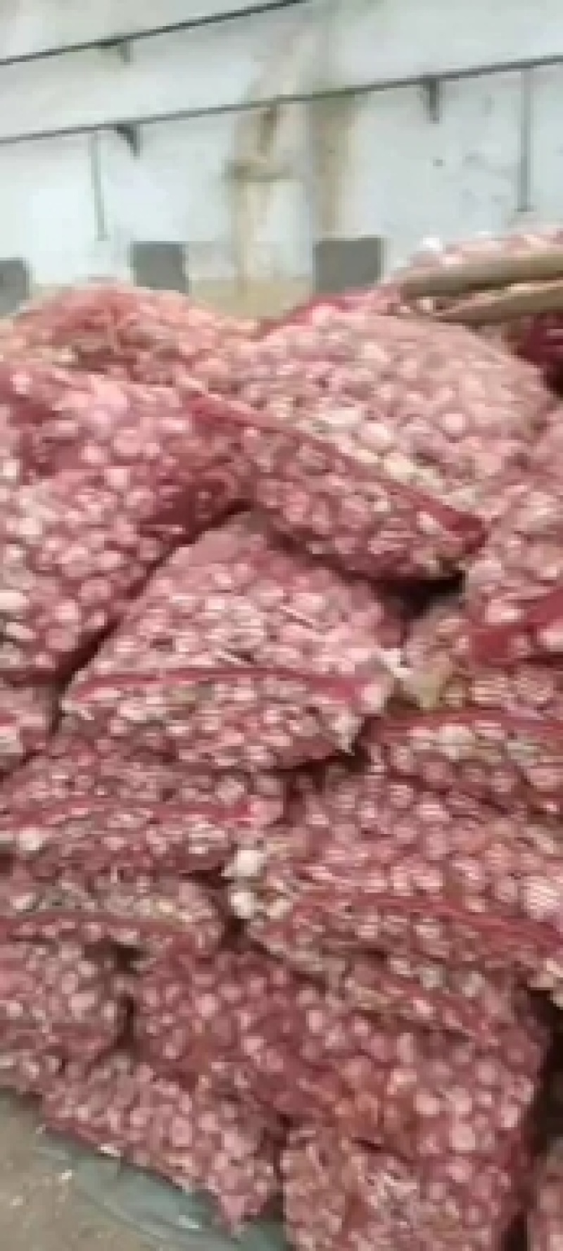 （热销）大蒜产地直销欢迎洽谈，（大蒜产地直销）