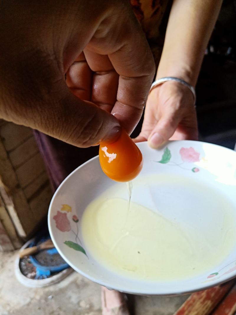 自家养殖的鸡蛋，新鲜无抗