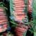 南瓜，长紫茄，白萝卜专用防雾手提袋，4275cm，