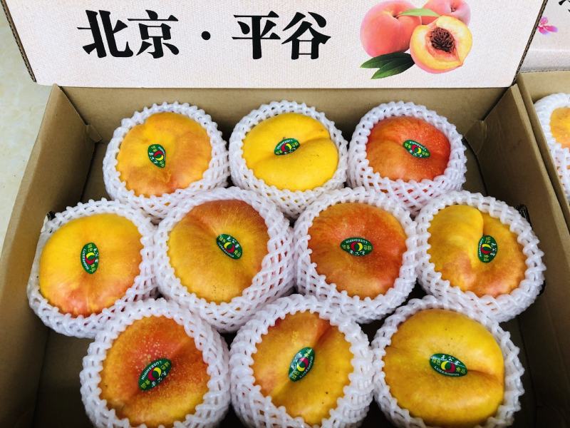 黄金大油蟠桃礼盒装A级果