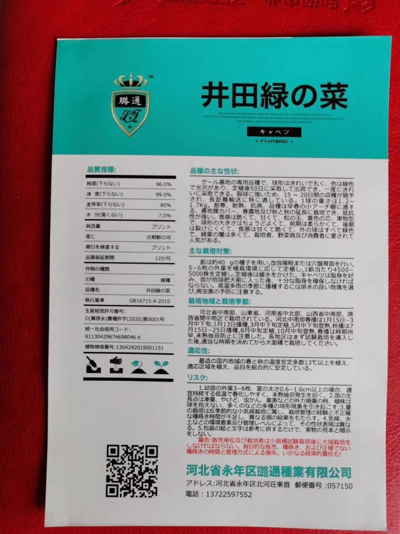 进口甘蓝种子外球全绿前期松软后期耐裂口感甜脆