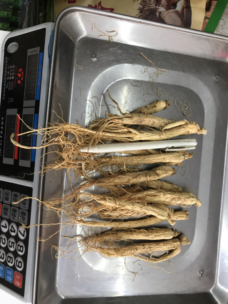 长白山生晒参白参干人参