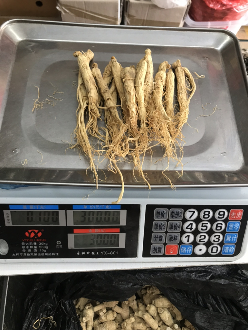 长白山生晒参白参干人参