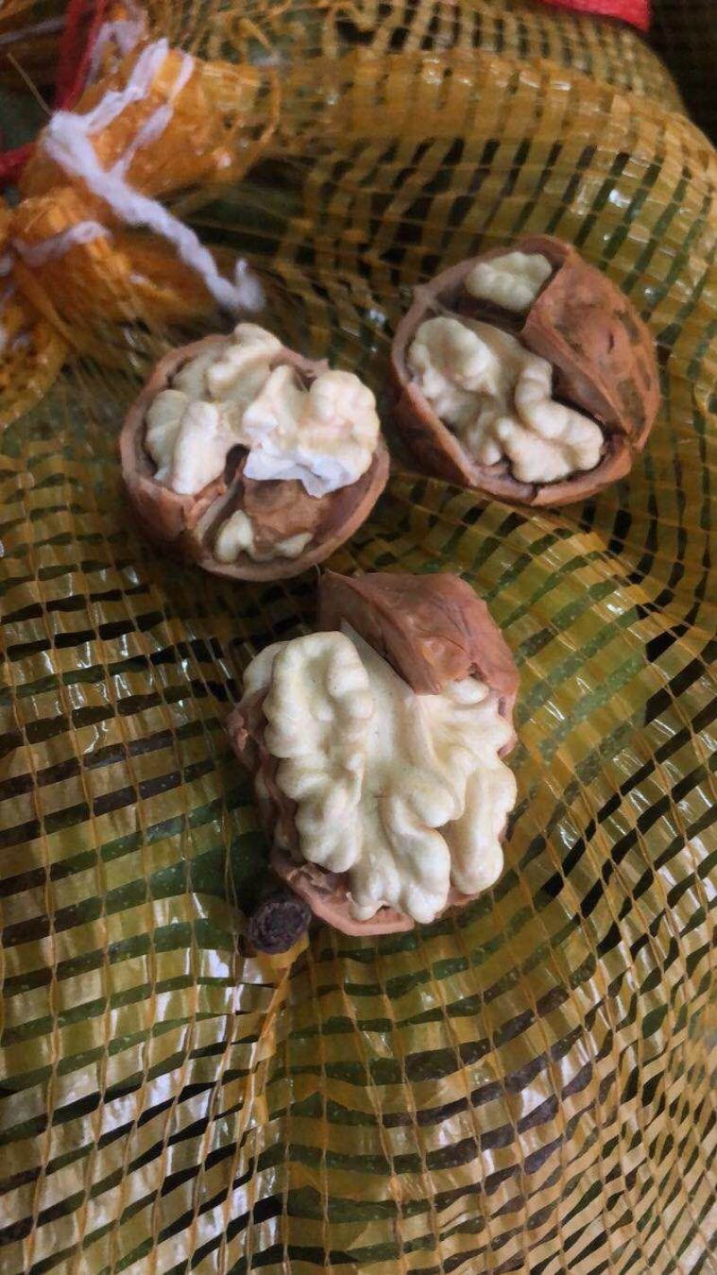 大凉山绿色核桃去皮带皮的都有，量大的话价格好商量！