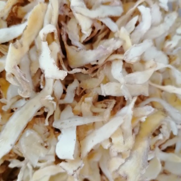 玉竹，新鲜好货，冻库冷冻