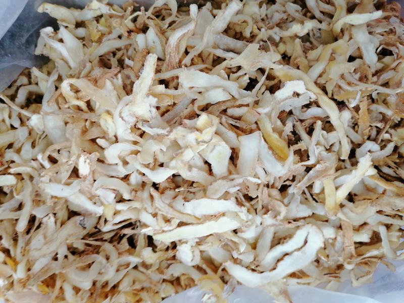 玉竹，新鲜好货，冻库冷冻