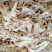 玉竹，新鲜好货，冻库冷冻
