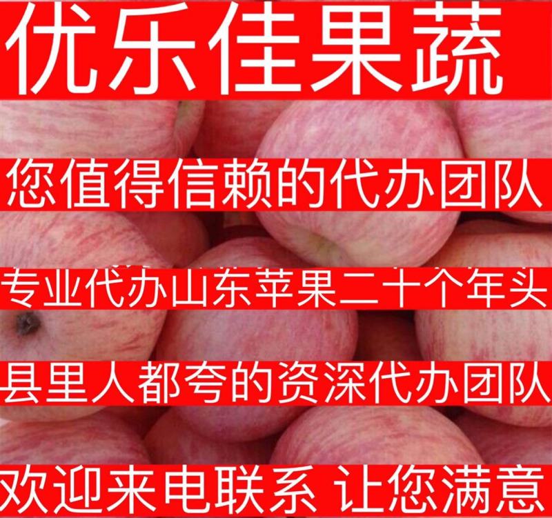 红将苹果山东苹果产地直发优质推荐一手货源货源充足