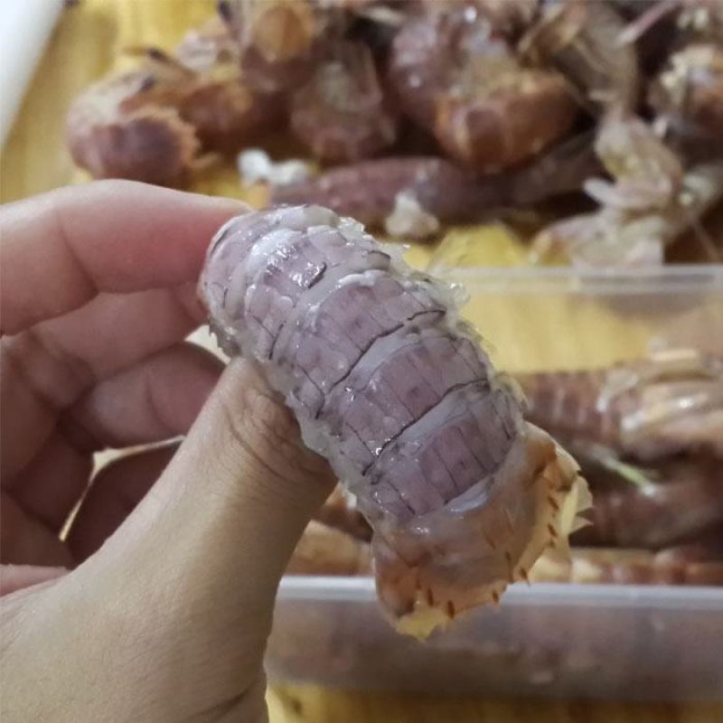 皮皮虾鲜活蒸熟冰鲜条条满肉濑尿虾熟冻皮皮虾